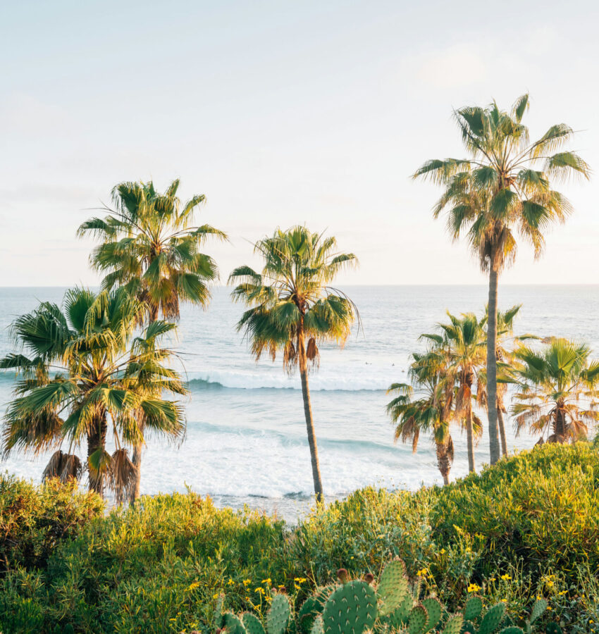 relaxing shores of LA, outlook into the ocean with hills and palm trees in view